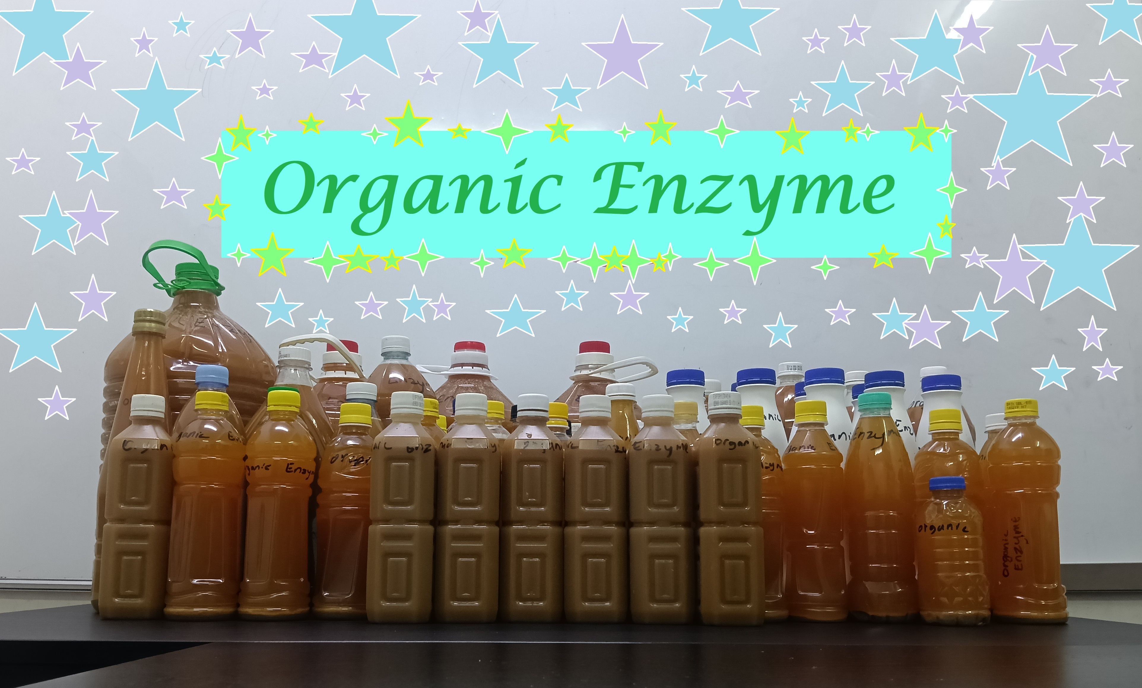 Organic Enzyme